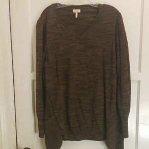 Lori  Goldstein Brown V-Neck Sweater